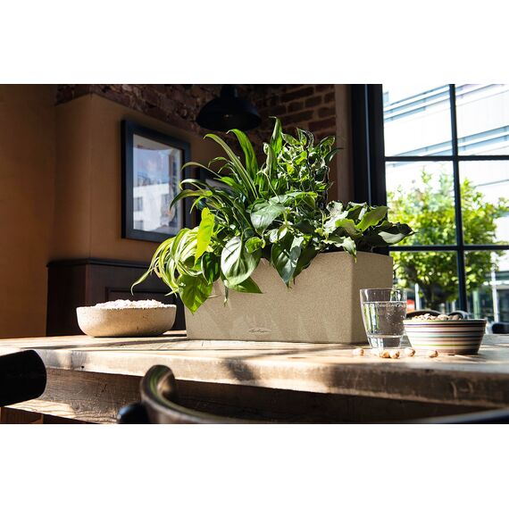 Lechuza BALCONERA Stone 50 Komplettset sandbeige