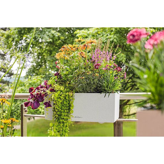 Lechuza BALCONERA Stone 50 Komplettset quarzweiß