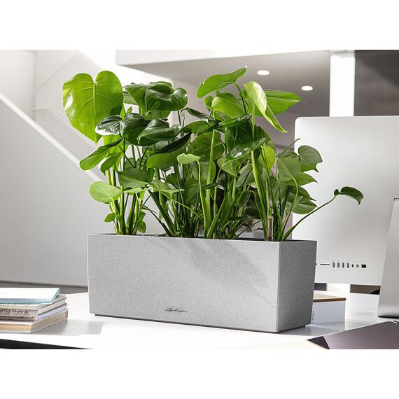 Lechuza BALCONERA Stone 50 steingrau 15650 (Packung mit 3)