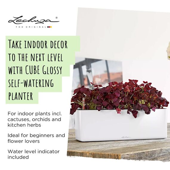 LECHUZA CUBE Glossy Triple anthrazit highgloss 13671