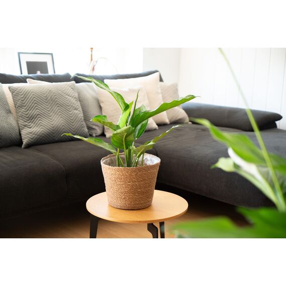 Decorasian Pflanzkorb – Übertopf geflochten – dekorativer Seegras Blumentopf mit Folieneinsatz im Boho Stil, 3 Stück 25cm