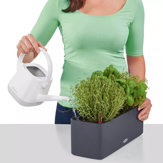 Lechuza BALCONISSIMA 40 inkl. Halter Komplettset schiefergrau