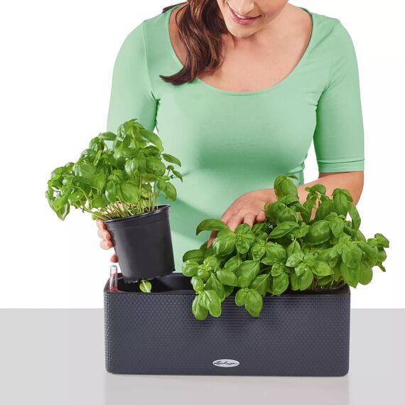 Lechuza BALCONISSIMA 40 inkl. Halter Komplettset schiefergrau