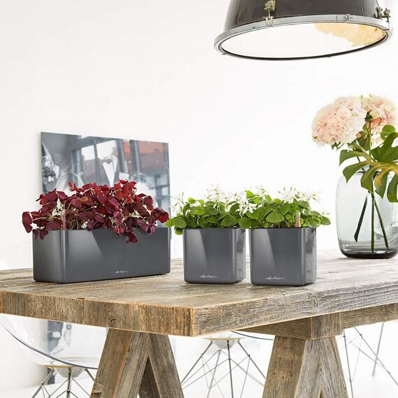 LECHUZA CUBE Glossy Triple anthrazit highgloss 13671