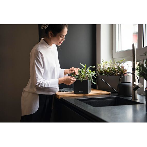 LECHUZA CANTO Stone 14 hochwertiger Kräuterwürfel mit Stick-Bewässerungssystem, graphitschwarz