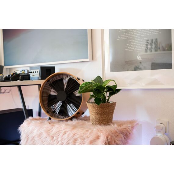 Decorasian Pflanzkorb – Übertopf geflochten – dekorativer Seegras Blumentopf mit Folieneinsatz im Boho Stil, 3 Stück 20cm