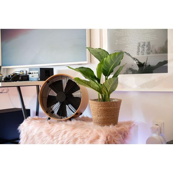 Decorasian Pflanzkorb – Übertopf geflochten – dekorativer Seegras Blumentopf mit Folieneinsatz im Boho Stil, 3 Stück 22cm