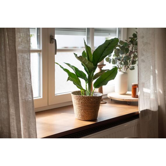 Decorasian Pflanzkorb – Übertopf geflochten – dekorativer Seegras Blumentopf mit Folieneinsatz im Boho Stil, 3 Stück 22cm