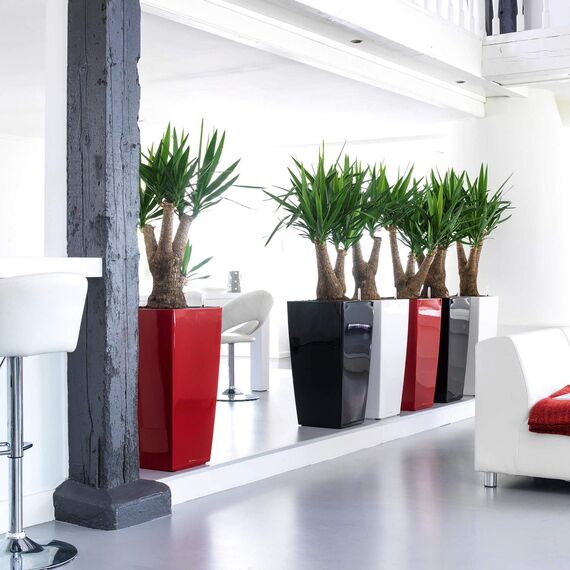 Lechuza Komplett-Set Cubico 40 Scarlet rot Hochglanz