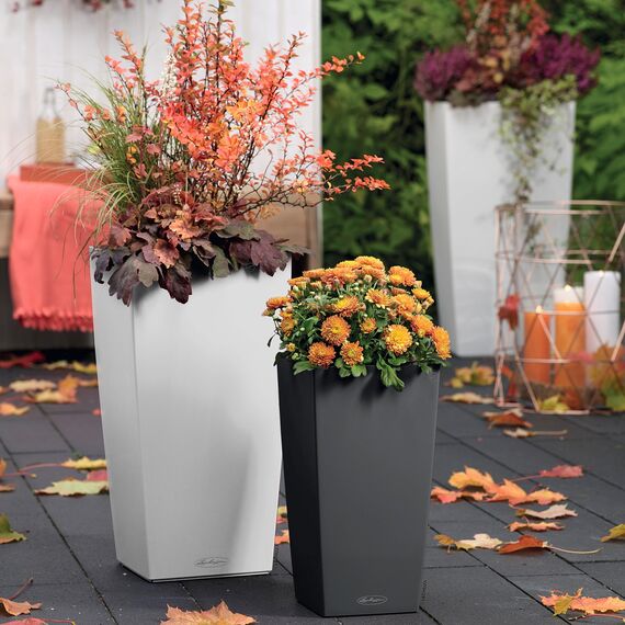 Lechuza Trend Cubico Color weiß 40 Komplettset