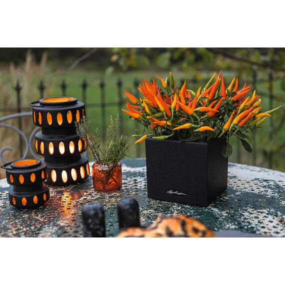 LECHUZA CANTO Stone 14 hochwertiger Kräuterwürfel mit Stick-Bewässerungssystem, graphitschwarz