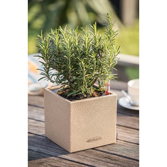 LECHUZA CANTO Stone 14 hochwertiger Kräuterwürfel mit Stick-Bewässerungssystem, sandbeige
