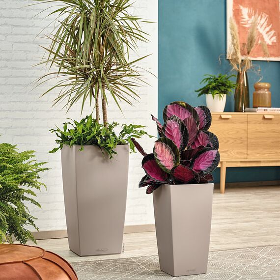 Lechuza CUBICO Color 22 Komplettset sandbraun