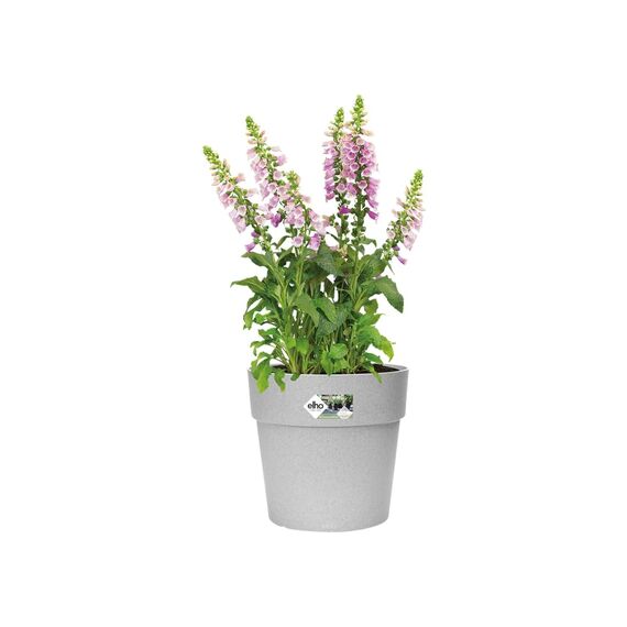 elho Vibia Straight Rund 30 - Blumentopf für Außen - Ø 29.3 x H 28.0 cm - Grau/Living Beton