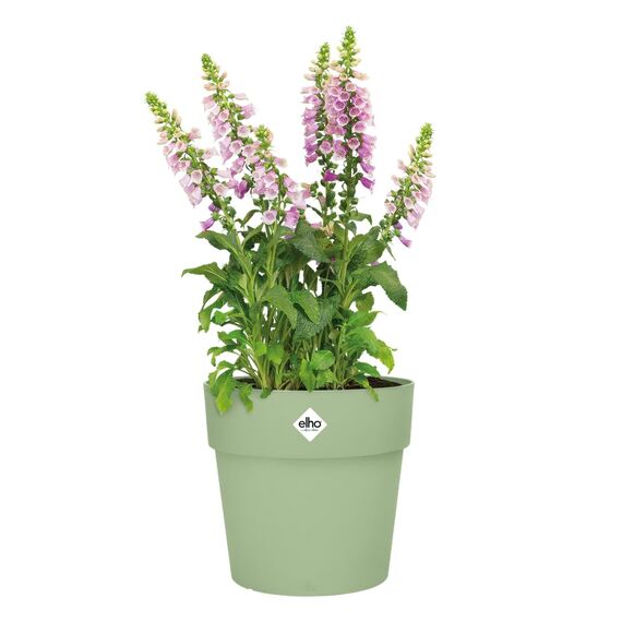 elho Vibia Straight Rund 47 - Blumentopf für Außen - Ø 47.0 x H 44.4 cm - Grün/Pistazien Grün