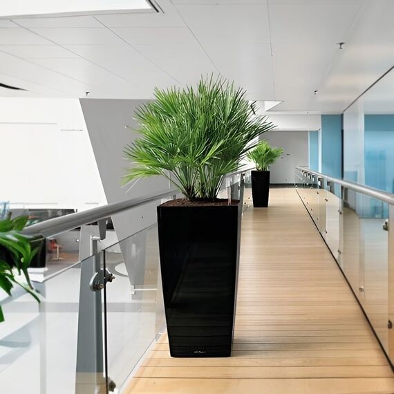 Lechuza CUBICO 40 Komplettset schwarz Hochglanz