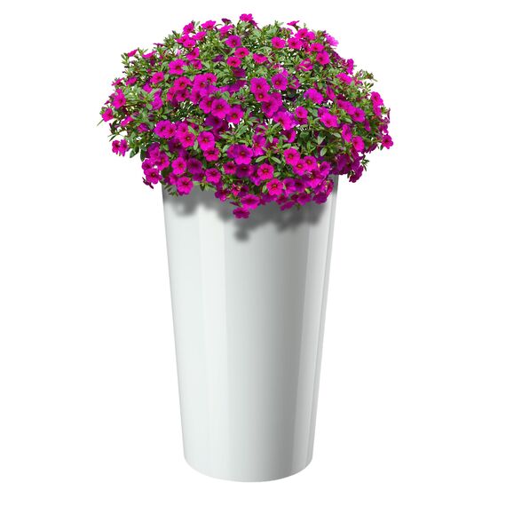 KADAX Pflanzkübel mit Innentopf Weiß Ø 14 cm, Höhe 26.1 cm – Moderner Pflanztopf mit Einsatz, Blumentopf aus robuster Kunststoff für Innen- und Außenbereich, ideal für Wohnzimmer, Balkon, Büro