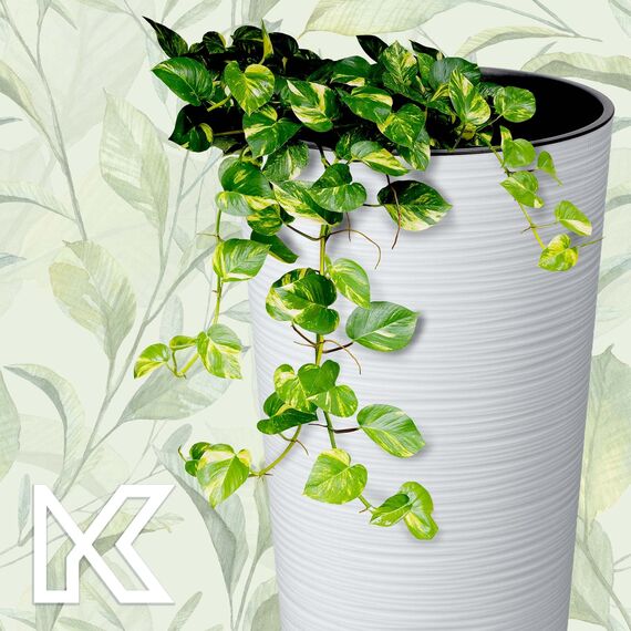 KADAX Pflanzkübel mit Innentopf Weiß Ø 19 cm, Höhe 36.8 cm – Moderner Pflanztopf mit Einsatz, Blumentopf aus robuster Kunststoff für Innen- und Außenbereich, ideal für Wohnzimmer, Balkon, Büro