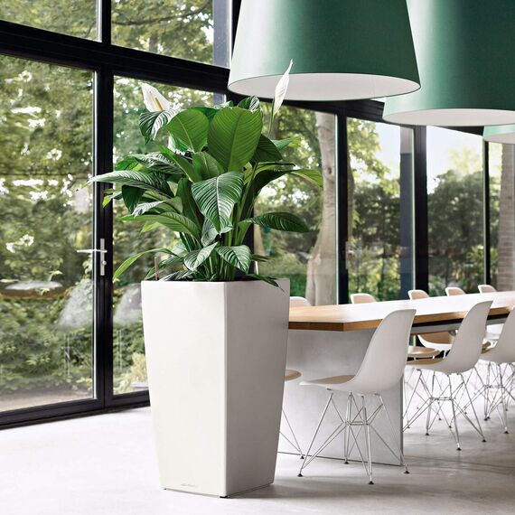 Lechuza Komplett-Set Cubico 50 anthrazit metallic