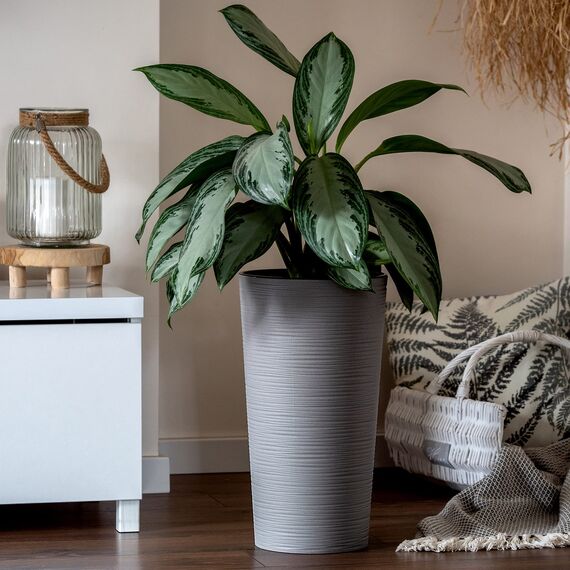 KADAX Pflanzkübel mit Innentopf Grau Ø 30 cm, Höhe 57.5 cm – Moderner Pflanztopf mit Einsatz, Blumentopf aus robuster Kunststoff für Innen- und Außenbereich, ideal für Wohnzimmer, Balkon, Büro