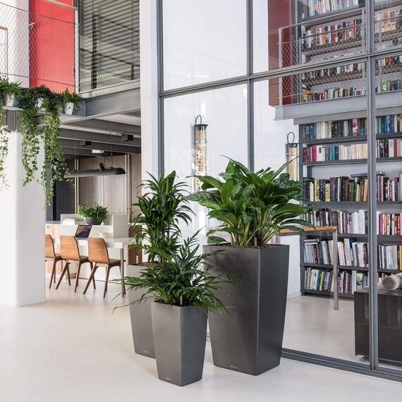 Lechuza Komplett-Set Cubico 50 Scarlet rot Hochglanz