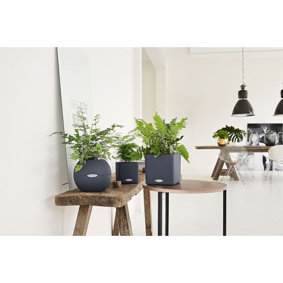 Lechuza Puro Color 20, All-in-One-Set schiefergrau