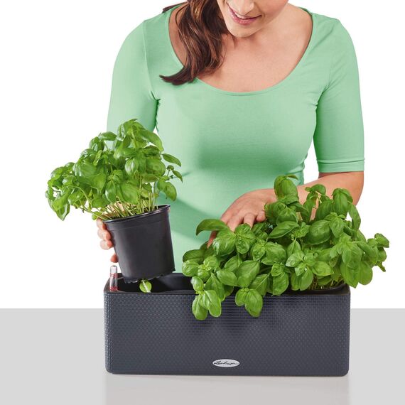 Lechuza Cube Color Triple (ehemals BALCONISSIMA) schiefergrau 13684 (Packung mit 2)