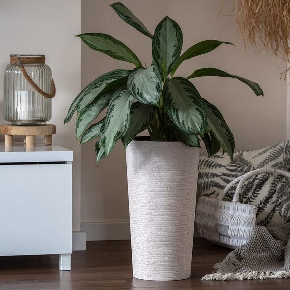 KADAX Pflanzkübel mit Innentopf Creme Ø 30 cm, Höhe 57.5 cm – Moderner Pflanztopf mit Einsatz, Blumentopf aus robuster Kunststoff für Innen- und Außenbereich, ideal für Wohnzimmer, Balkon, Büro