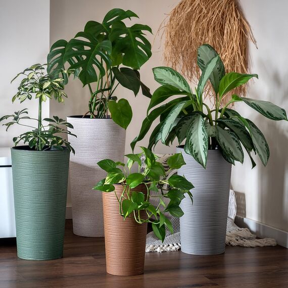 KADAX Pflanzkübel mit Innentopf Creme Ø 25 cm, Höhe 47 cm – Moderner Pflanztopf mit Einsatz, Blumentopf aus robuster Kunststoff für Innen- und Außenbereich, ideal für Wohnzimmer, Balkon, Büro