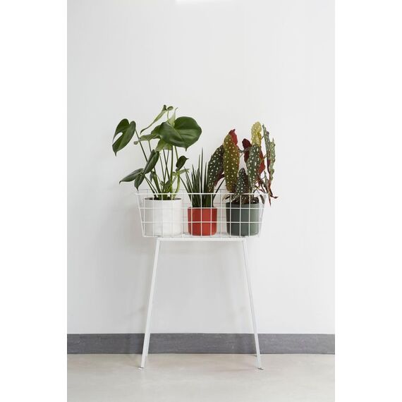 elho B.for Soft Rund 16 - Blumentopf für Innen - 100% recyceltes Plastik - Ø 16.0 x H 15.0 cm - Weiß/Weiss