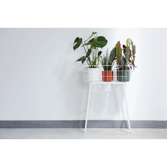 elho B.for Soft Rund 16 - Blumentopf für Innen - 100% recyceltes Plastik - Ø 16.0 x H 15.0 cm - Weiß/Weiss