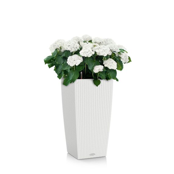 Lechuza "CUBICO Cottage 30" Pflanzgefäß mit ERD-Bewässerungs-System, Weiß, 30 x 30 x 56 cm