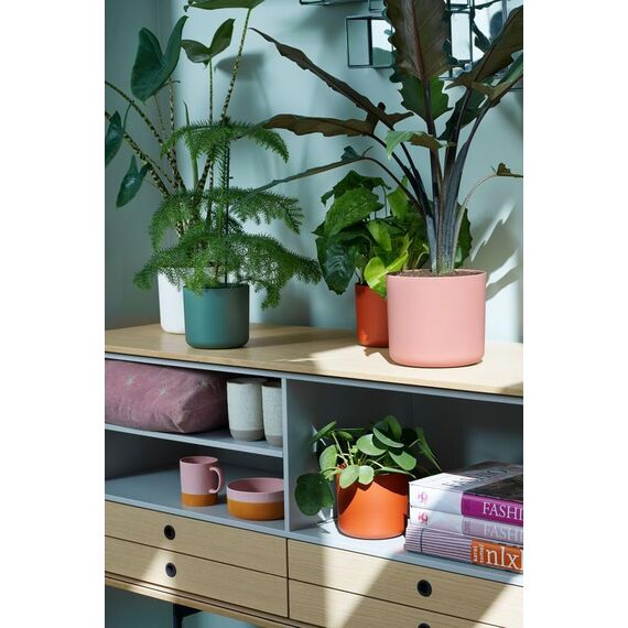 elho B.for Soft Rund 18 - Blumentopf für Innen - 100% recyceltes Plastik - Ø 18.3 x H 16.7 cm - Rosa/Zartrosa