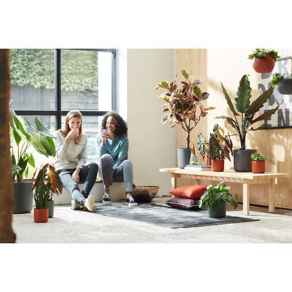 elho B.for Soft Rund 30 - Blumentopf für Innen - 100% recyceltem Plastik - Ø 29.5 x H 27.6 cm - Schwarz/Anthrazit