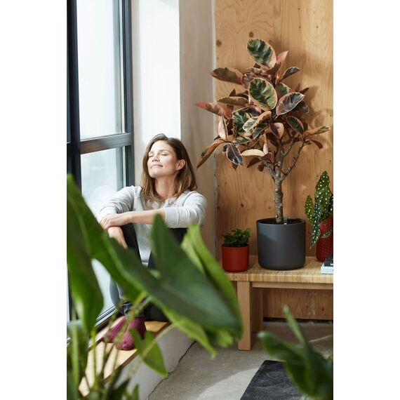 elho B.for Soft Rund 14 - Blumentopf für Innen - 100% recyceltes Plastik - Ø 13.8 x H 12.5 cm - Schwarz/Anthracite