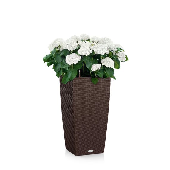 Lechuza "CUBICO Cottage 30" Pflanzgefäß mit ERD-Bewässerungs-System, Mokka, 30 x 30 x 56 cm