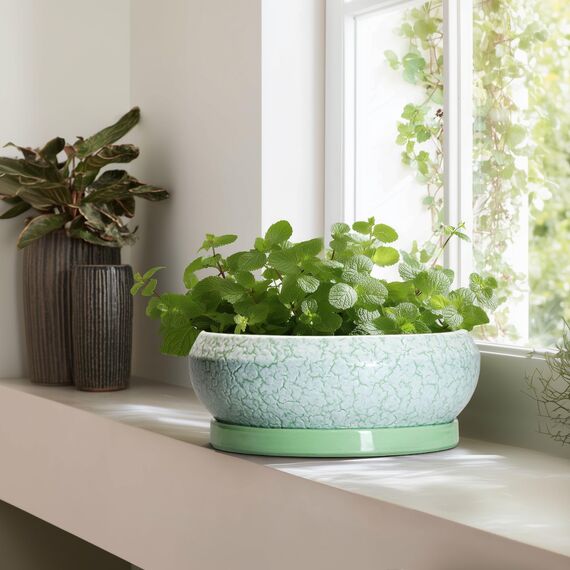 EPFamily Bonsaitöpfe aus Keramik, 30,5 cm, mit Ablauflöchern und Untersetzern, grün-weiß