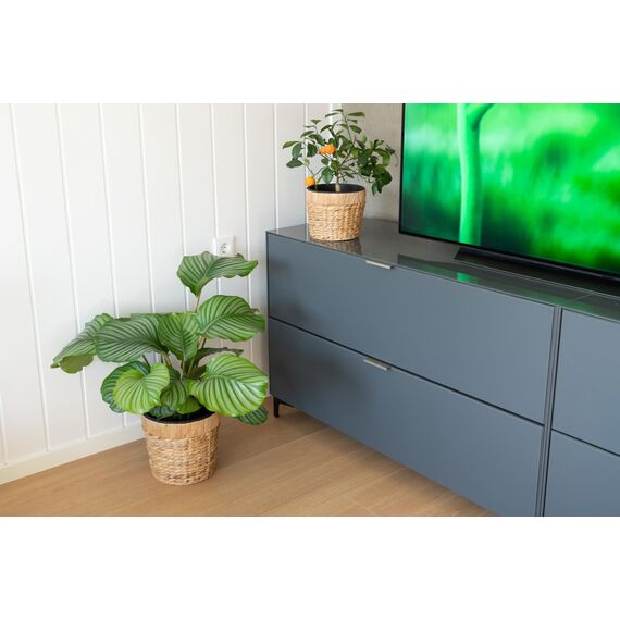 Decorasian 2er Set Blumentopf rund geflochten aus Seegras mit Kunststoffeinsatz zum bepflanzen - Pflanztopf - 20cm + 26cm