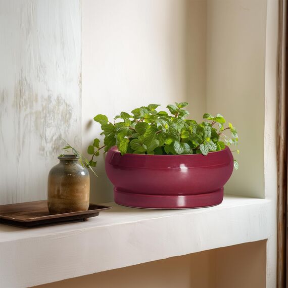 EPFamily Sukkulententententöpfe – 20,3 cm Bonsai-Töpfe für drinnen und draußen, Flacher Keramik-Pflanztopf mit Ablaufloch und Untersetzer, runde Blumen-Sukkulenten-Pflanzgefäße, Wohnungsdekoration