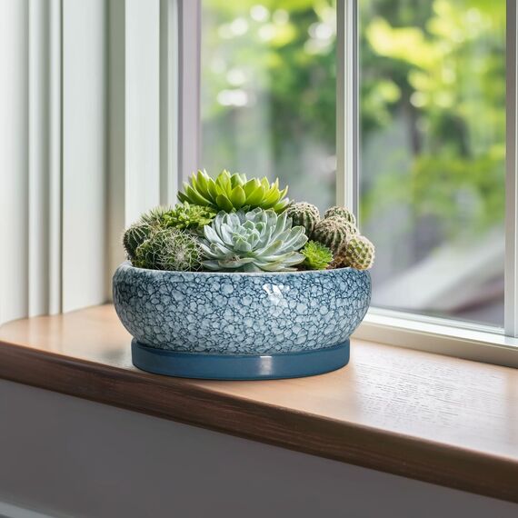 EPFamily Bonsai-Töpfe aus Keramik, 25,4 cm, mit Drainagelöchern und Untersetzern, Skala, Blau-Grau