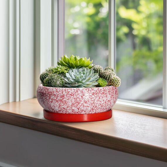 EPFamily Bonsai-Töpfe aus Keramik, 25,4 cm, mit Ablauflöchern und Untersetzern, Rot