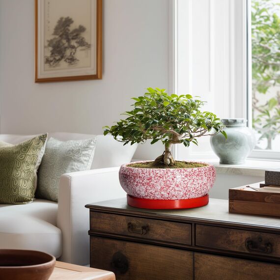 EPFamily Bonsai-Töpfe aus Keramik, 25,4 cm, mit Ablauflöchern und Untersetzern, Rot