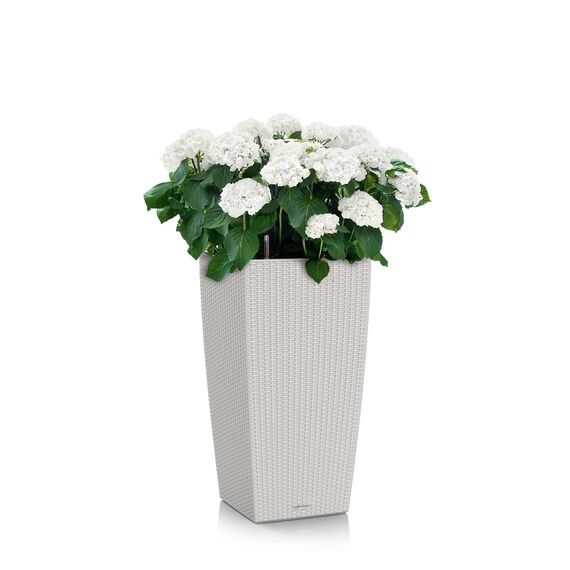 Lechuza CUBICO Cottage 30 All-in-One Set lichtgrau 15157