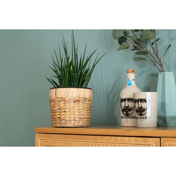 Decorasian 3er Set Blumentopf rund geflochten aus Seegras mit Kunststoffeinsatz zum bepflanzen - Pflanztopf - 16cm + 20cm + 26cm