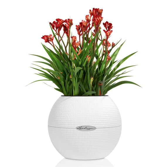 Lechuza Puro Color 20, All-in-One-Set weiß