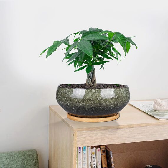 EPFamily Bonsai-Pflanztopf aus Keramik, glasiert, flach, Sukkulenten-Übertopf mit Ablaufloch und Untersetzer aus Bambus für Zimmerpflanzen, 20,3 cm, Grün