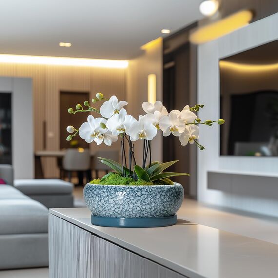 EPFamily Bonsai-Töpfe aus Keramik, 25,4 cm, mit Drainagelöchern und Untersetzern, Skala, Blau-Grau