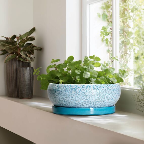 EPFamily Bonsaitöpfe aus Keramik, 30,5 cm, mit Ablauflöchern und Untersetzern, blau-weiß