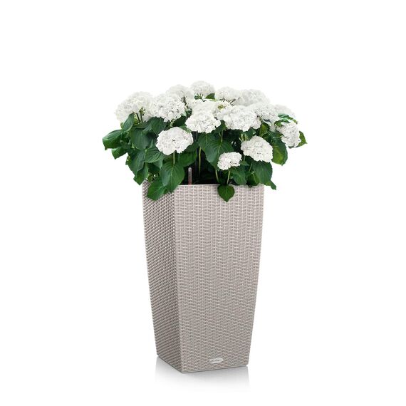 Lechuza CUBICO Cottage 30 All-in-One Set sandbraun 15158