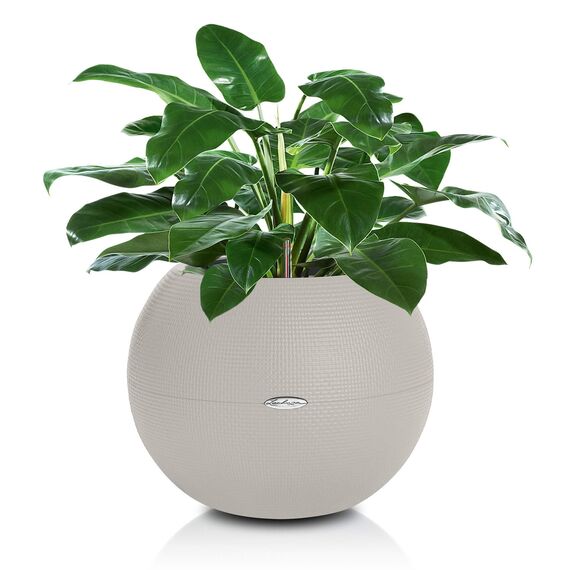 LECHUZA PURO Color 50 sandbraun 13348, 49x49x41 cm